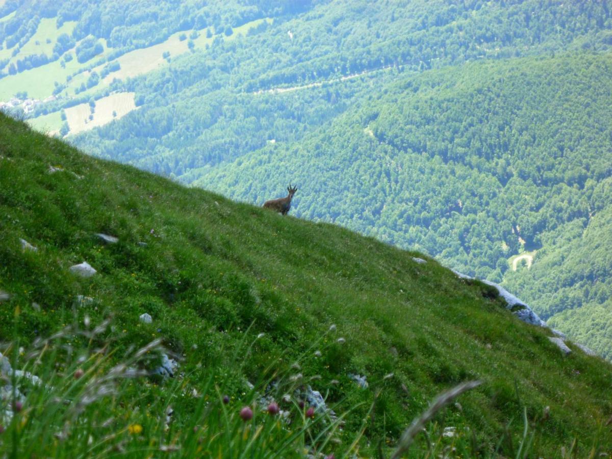 La Moraine *